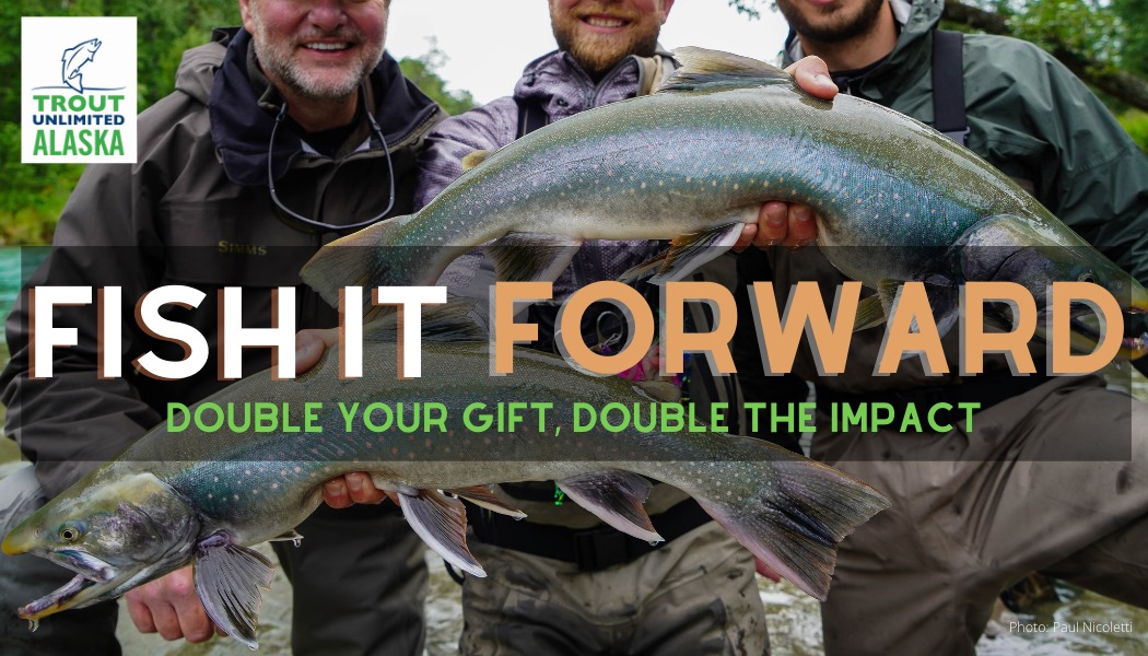 Trout Unlimited Alaska Introduces "Fish It Forward" Fundraiser
