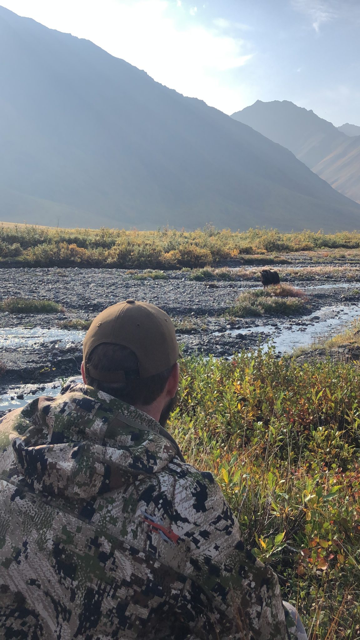 Alaska Draw Hunt Application Period Now Available Through Dec. 15