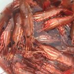 Personal-Use, Sport Shrimp Pot Fishing Closing In Tenakee Inlet