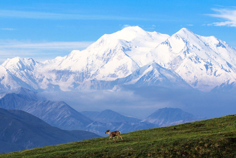 New Jersey Mountaineer Dies On Denali Climb