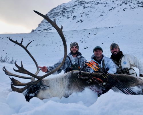 This image has an empty alt attribute; its file name is Caribou-hunt-3--500x403.jpeg