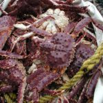 Federal Charges For Alaskans’ Alleged Illegal Transport Of Crabs Out Of State