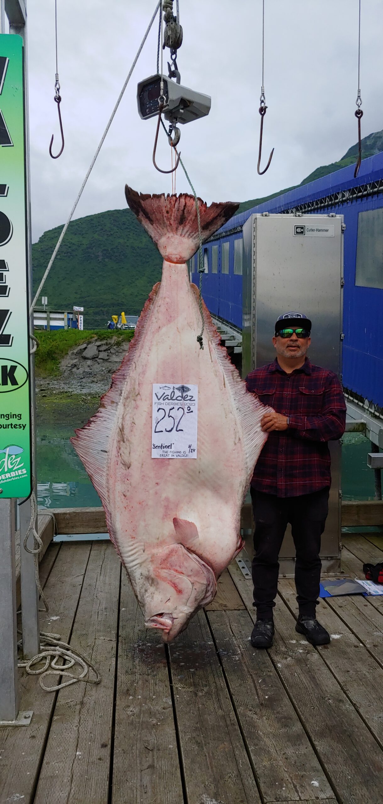 Valdez Fish Derbies Update: Lots Of Fish Being Caught