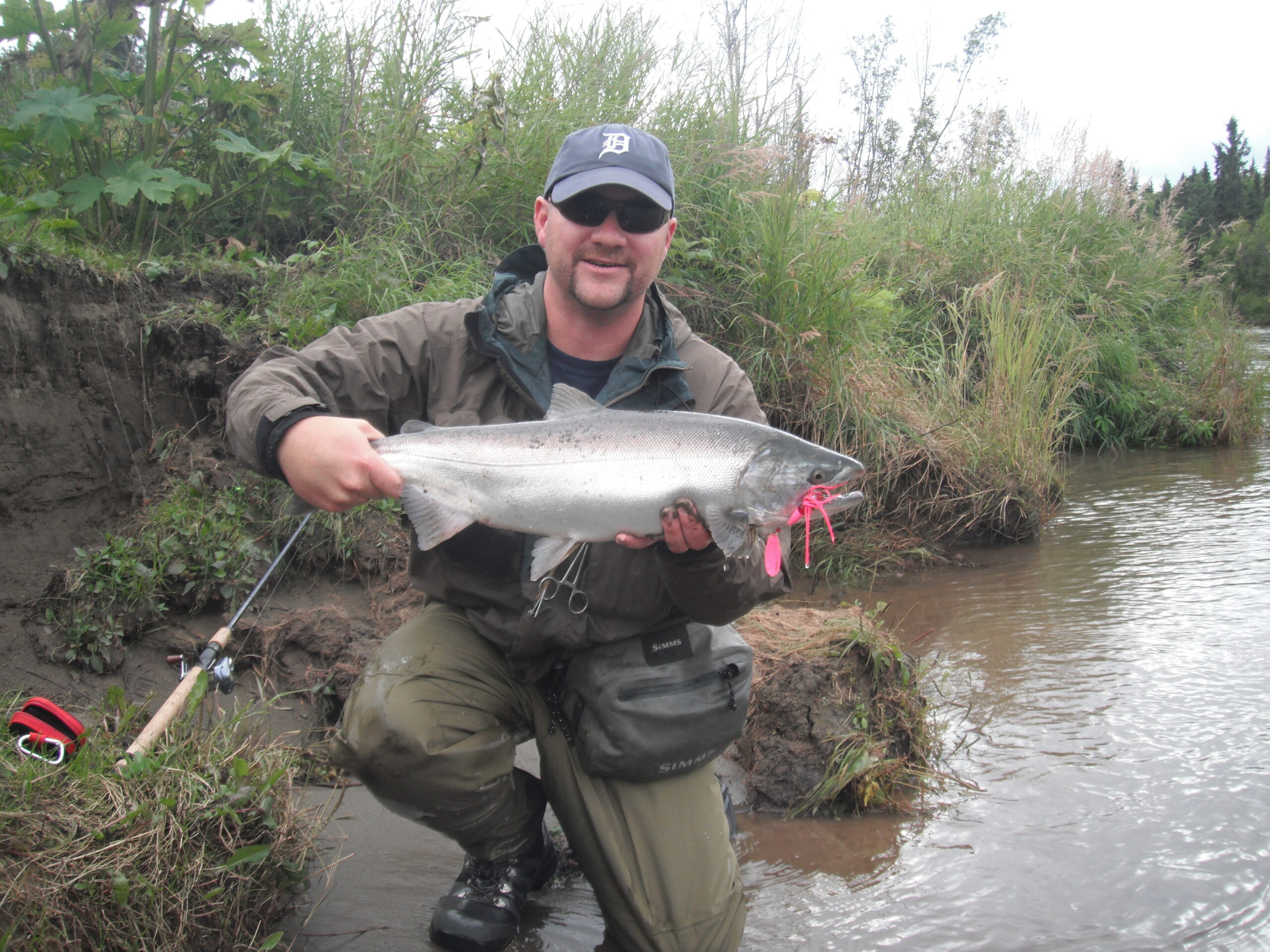 Hooking Coho is Easy, Landing Them is a Different Story