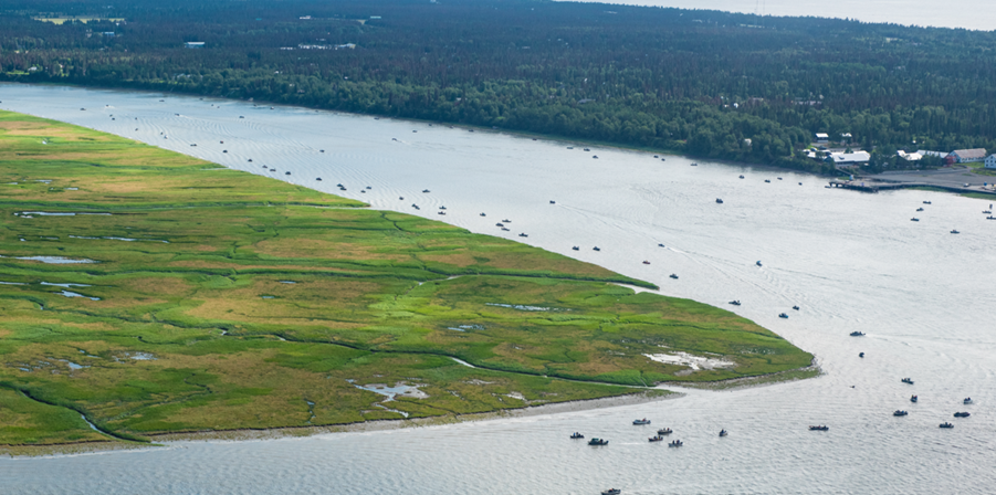 Early-, Late-Season King Salmon Fishing To Close On Kenai River