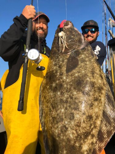 Nice big halibut caught last week on a giant swim bait !!