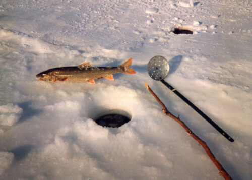 The Ice Angler Cometh: Alaska Winter Fishing Memories