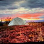 Raised In Alaska: A Trip Into The Last Frontier’s Wayback