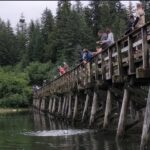 Area Around Situk River Weir Open Again For Sport Fishing