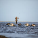 Department Of The Interior Opens More Federal Land For Hunting, Fishing Opportunities