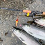 As You Enjoy Thanksgiving, How About A Fishing Gift Wish List?