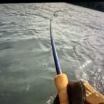 Raised In Alaska Experiences Epic Kenai River Sockeye Fishing