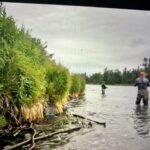 Raised In Alaska’s Kenai River Salmon Fishing Haul