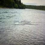 Raised In Alaska: A Night On A Remote Last Frontier River