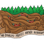 Local Tribal Interests Cite Lynx Habitat As Part Of Opposition To Donlin Mine