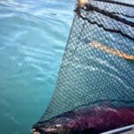 Raised In Alaska Takes An ‘Epic’ Silver Salmon Fishing Adventure